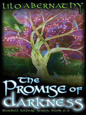 cover image of The Promise of Darkness